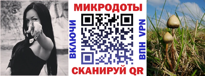 Галлюциногенные грибы MAGIC MUSHROOMS  Комсомольск-на-Амуре 