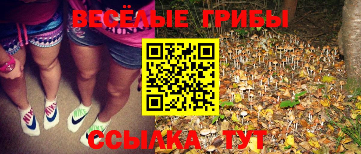 Галлюциногенные грибы GOLDEN TEACHER  Вход с VPN  Комсомольск-на-Амуре  Галлюциногенные грибы Cubensis 