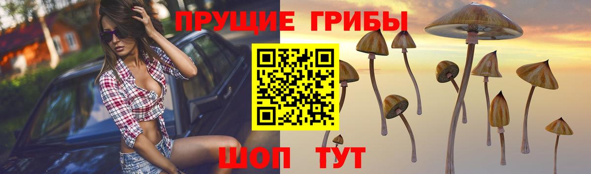 Галлюциногенные грибы мицелий Комсомольск-на-Амуре